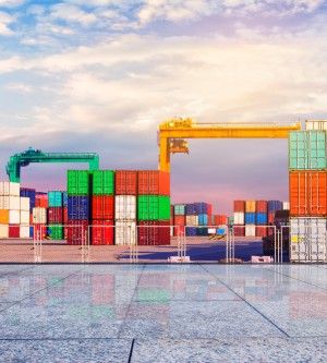 Export Consulting
